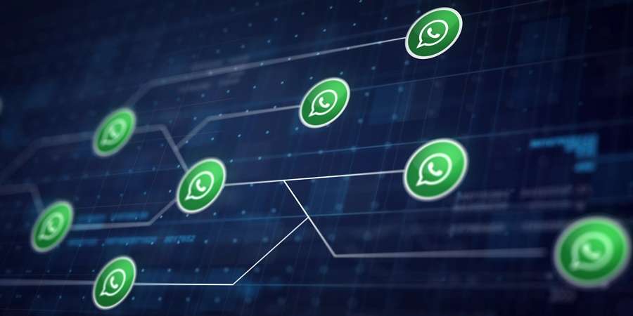 Usuario logeado: Alerta al Whatsapp